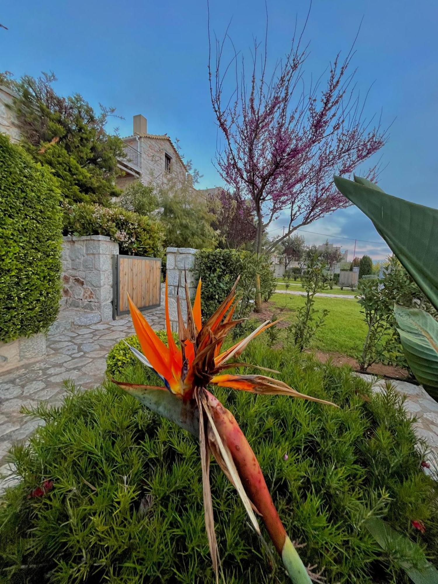 Achelatis Traditional Guest Houses Areopoli Buitenkant foto